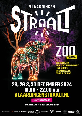 241218 Vlaardingen Straalt Poster